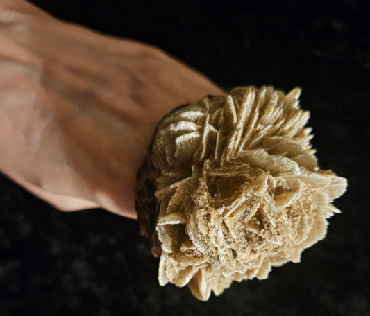Massive Desert Rose Sculpted Two Finger Statement Ring, Beige Cryst