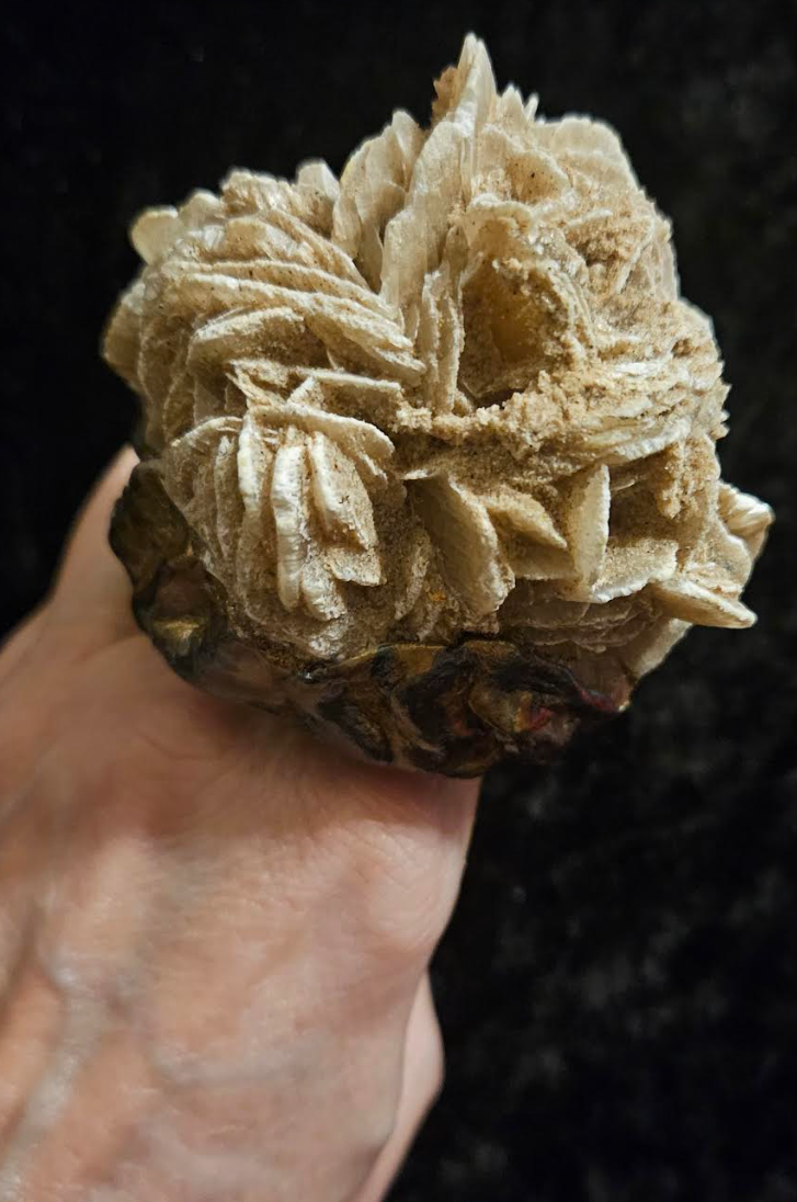 Massive Desert Rose Sculpted Two Finger Statement Ring, Beige Cryst