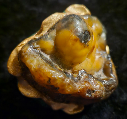 Rough River Botryoidal Agate Sculpted Adjustable Statement Ring Uni