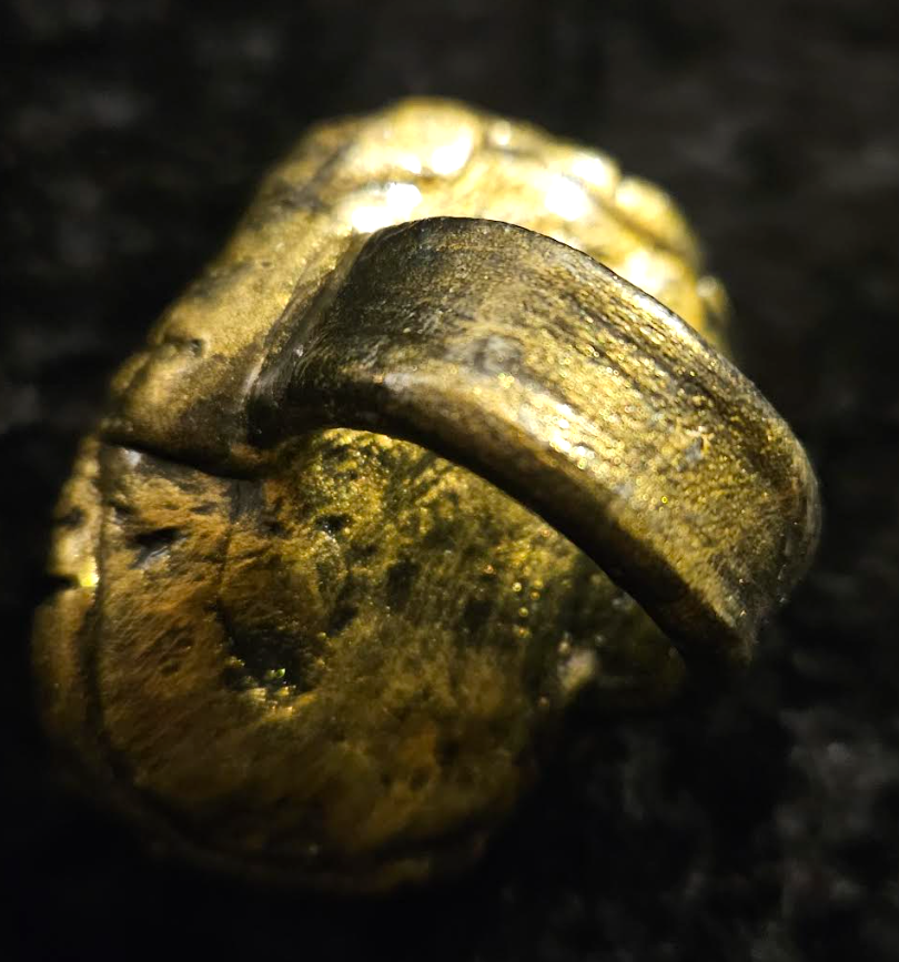 Rough Pyrite & Quartz Sculpted Statement Ring Size 8 9, Fools Gold
