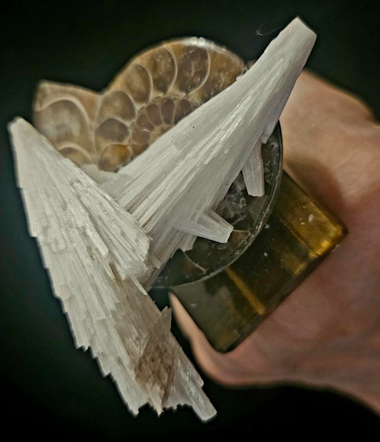 Scolecite Crystal Ammonite Fossil and Tigers Eye Adjustable Stateme