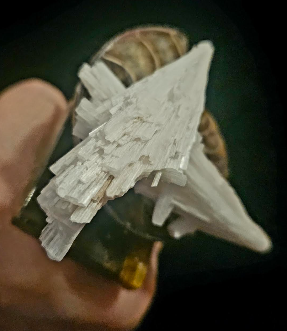 Scolecite Crystal Ammonite Fossil and Tigers Eye Adjustable Stateme