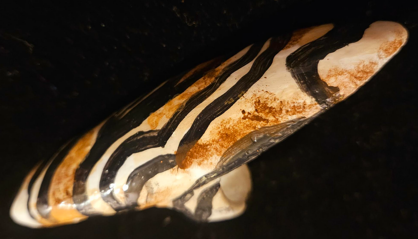 Massive Abstract Zebra Sculpted Hand Ring, Oversized Animal Print S
