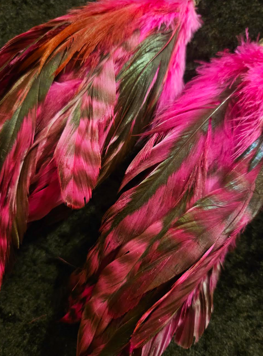 Fuchsia and Black Rooster Feather Long Pierced Statement Earrings Fa