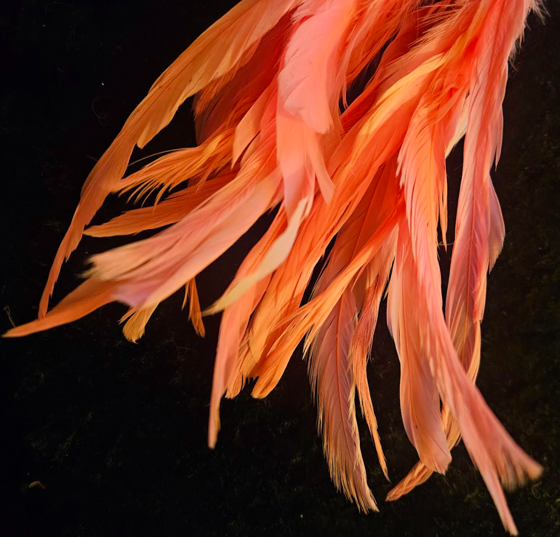 Hot Pink Rooster Feather Shoulder Dusters Feminine & Sexy Long Pi