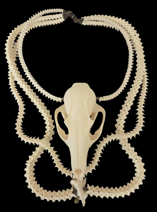 Snake Vertabrae & Fox Skull Exotic Bone Chest Piece - OOAK