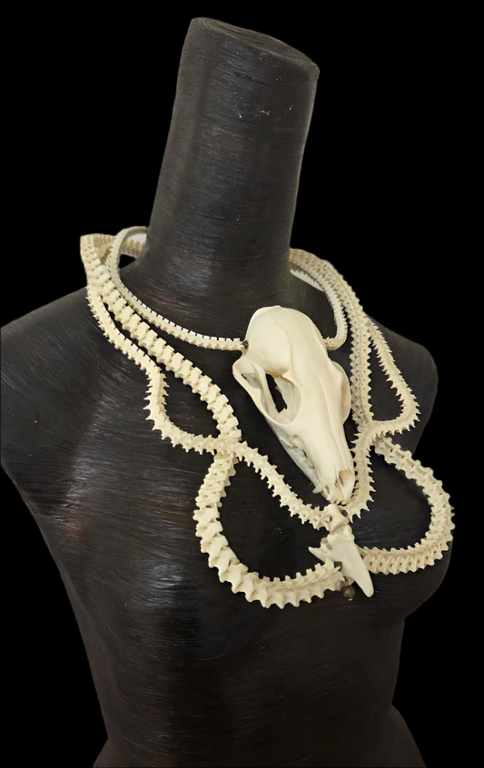 Snake Vertabrae & Fox Skull Exotic Bone Chest Piece - OOAK