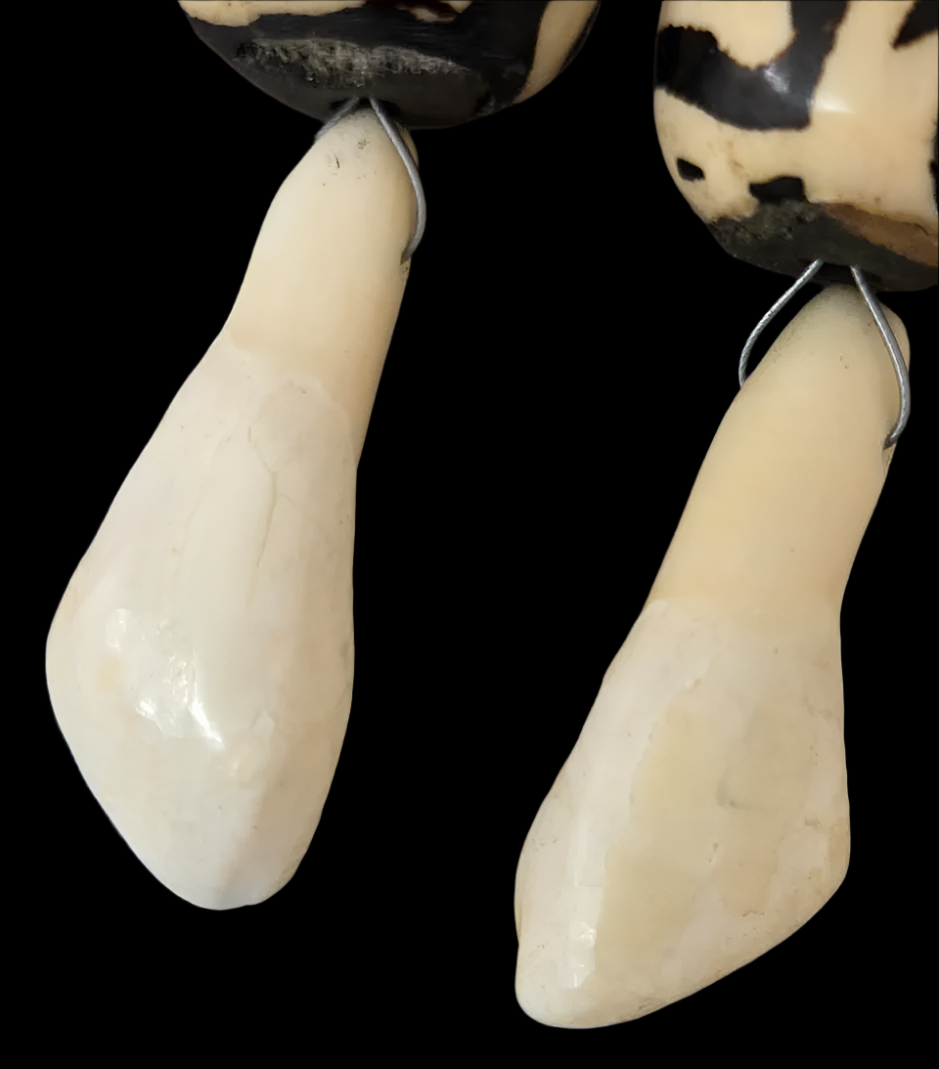 Teeth, Bone, Turquoise & Coral Wild Shoulder Duster Pierced Earrings