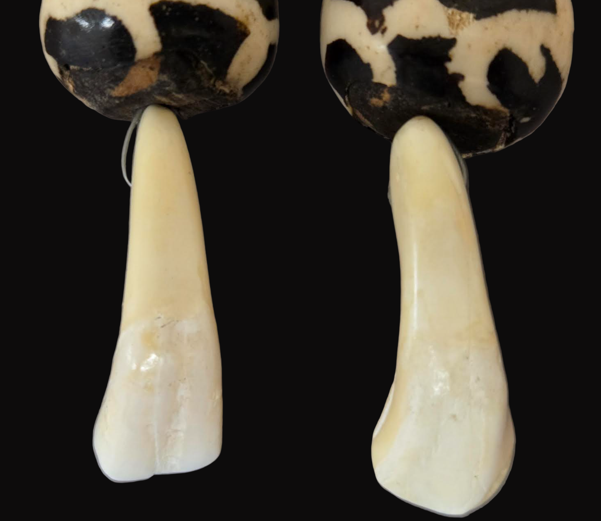 Buffalo Incisor Teeth & Batik Bone Shoulder Dusters - African Tribal XL Pierced Earrings