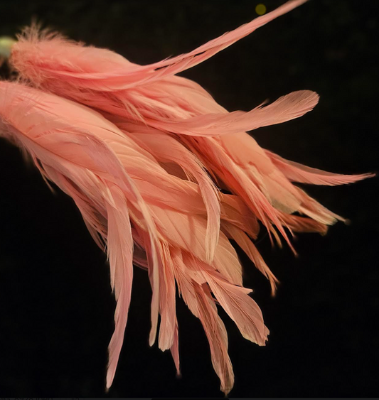 Pink Feather & Bead Duster Pierced Statement Earrings - Feminine