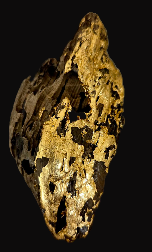 Driftwood & Gold Leaf Adjustable High Art Statement Ring - OOAK Finger Candy