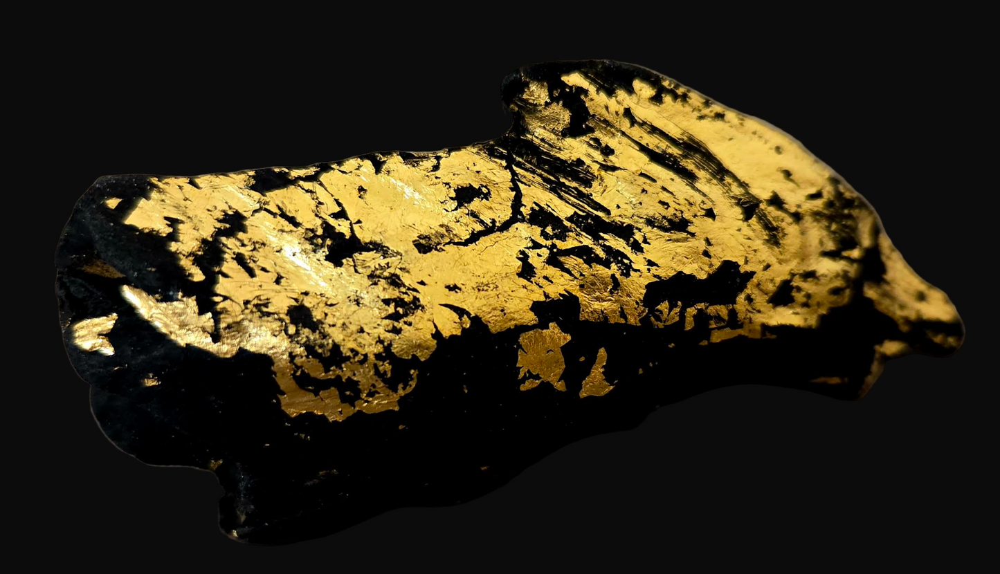 Black Driftwood & Gold Leaf High Art Concept Statement Ring - Unisex