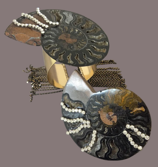 Rare Black Ammonite Statement Cuff and Ring Set for Women