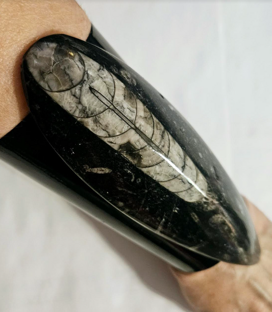 Orthoceras Prehistoric Fossil Black Metal Oversized Statement Cuff
