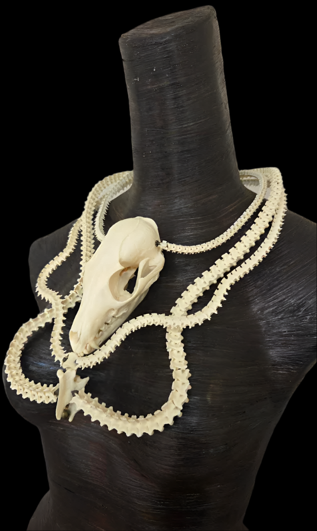 Snake Vertabrae & Fox Skull Exotic Bone Chest Piece - OOAK