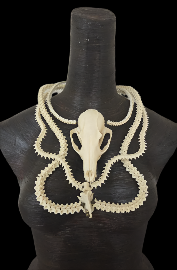 Snake Vertabrae & Fox Skull Exotic Bone Chest Piece - OOAK