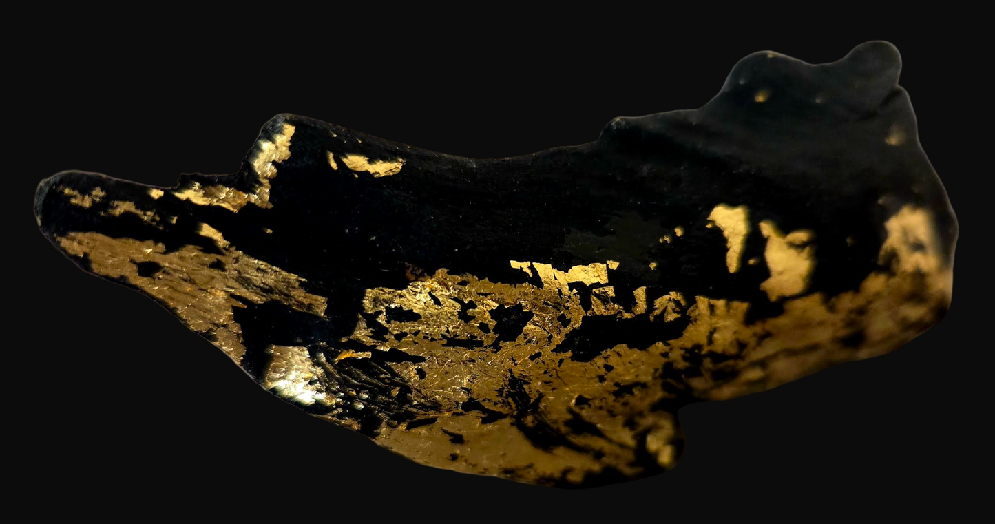 Black Driftwood & Gold Leaf High Art Concept Statement Ring - Unisex