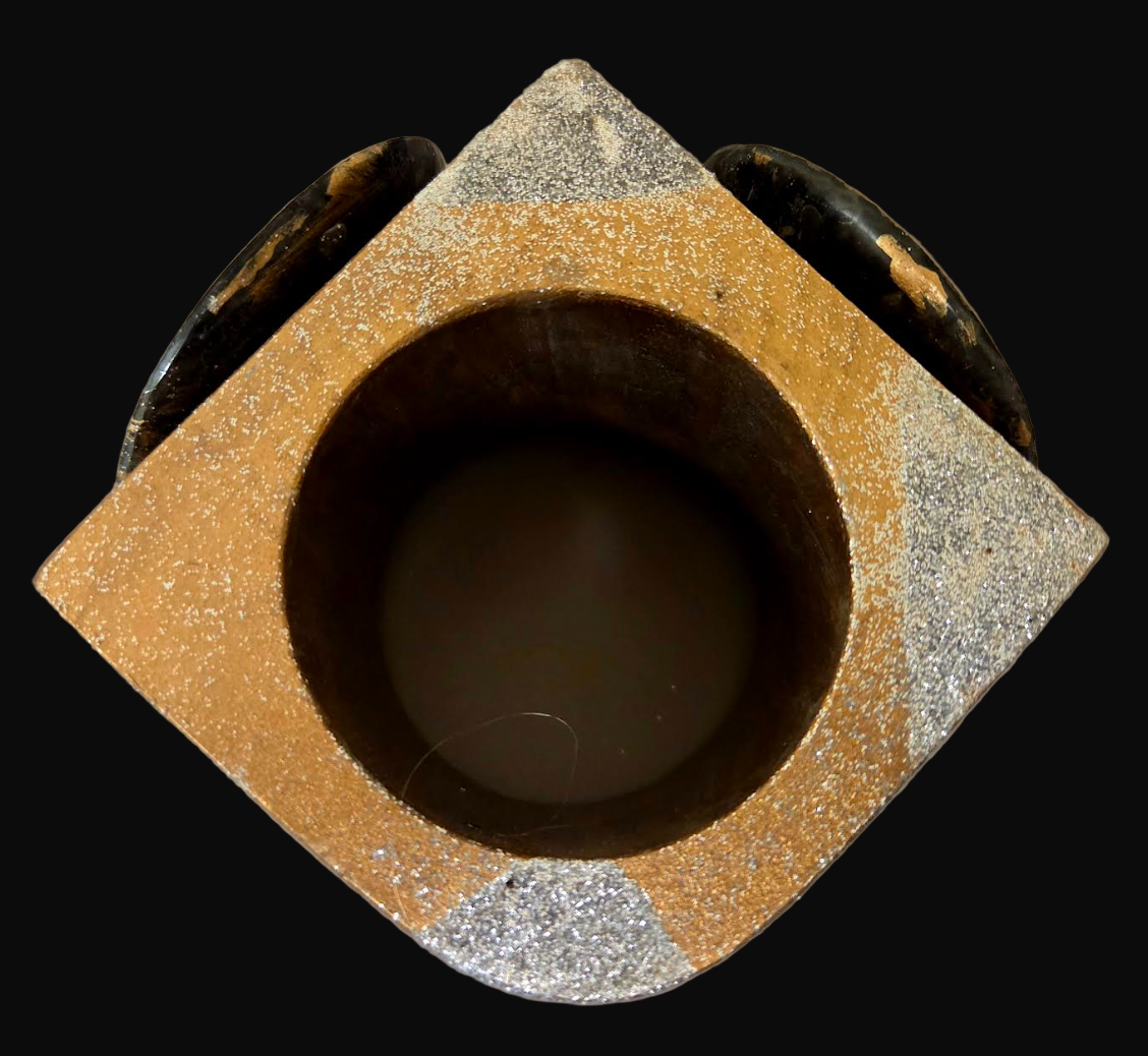 Bold Oversized Wood Statement Cuff With Prehistoric Ammonite Fossils