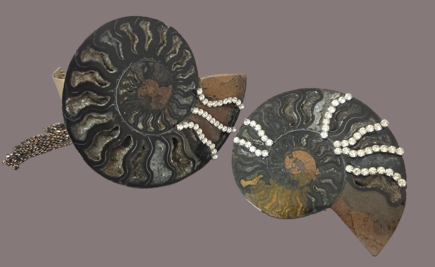 Rare Black Ammonite Statement Cuff and Ring Set for Women