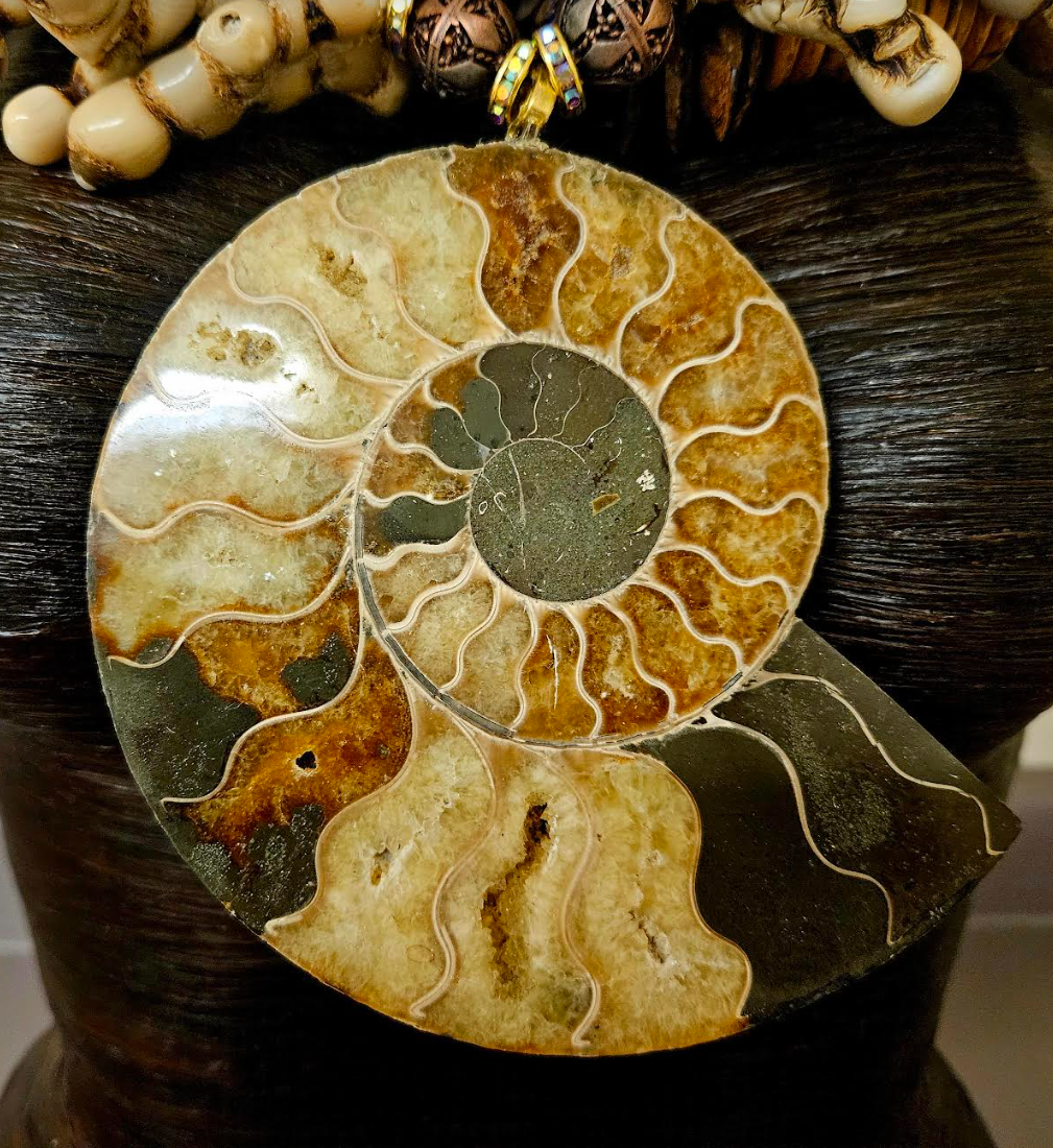 Earth Tone Coral Shell Wood and Fossil Haute Couture Chest Piece - Ammonite Pendant & Mixed Media Sea Gems Statement Necklace - OOAK Wearable Art from Kat Kouture Jewelry - Met Gala Worthy Accessories for Wealthy Women