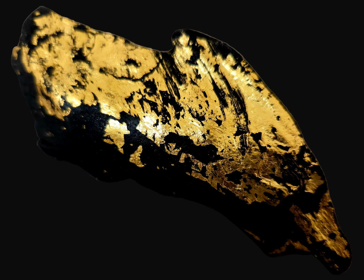 Black Driftwood & Gold Leaf High Art Concept Statement Ring - Unisex