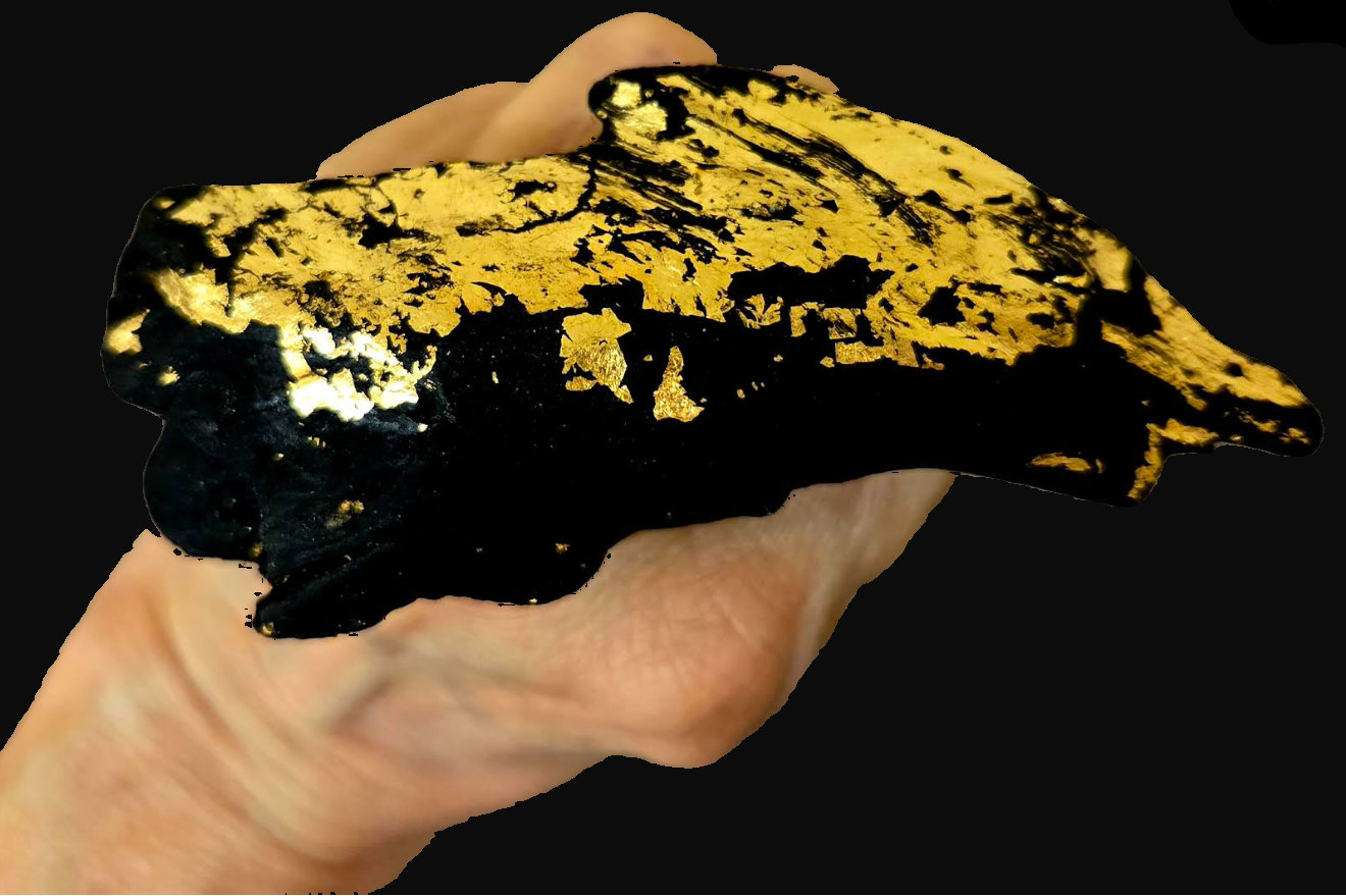 Black Driftwood & Gold Leaf High Art Concept Statement Ring - Unisex