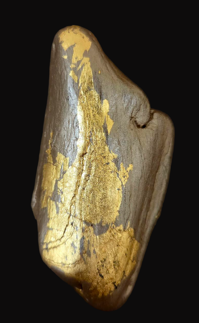 Polished Driftwood & Gold Leaf Adjustable Statement Ring - Androgynous