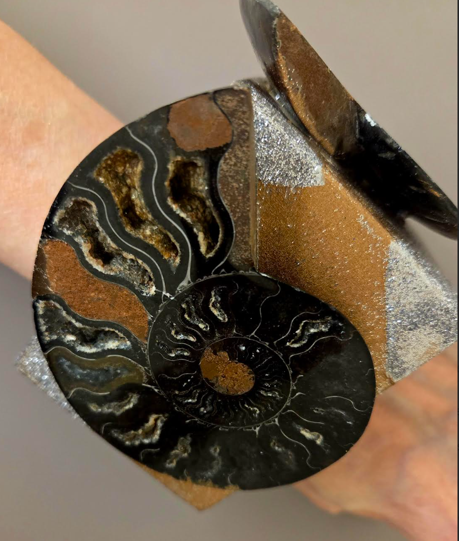 Bold Oversized Wood Statement Cuff With Prehistoric Ammonite Fossils