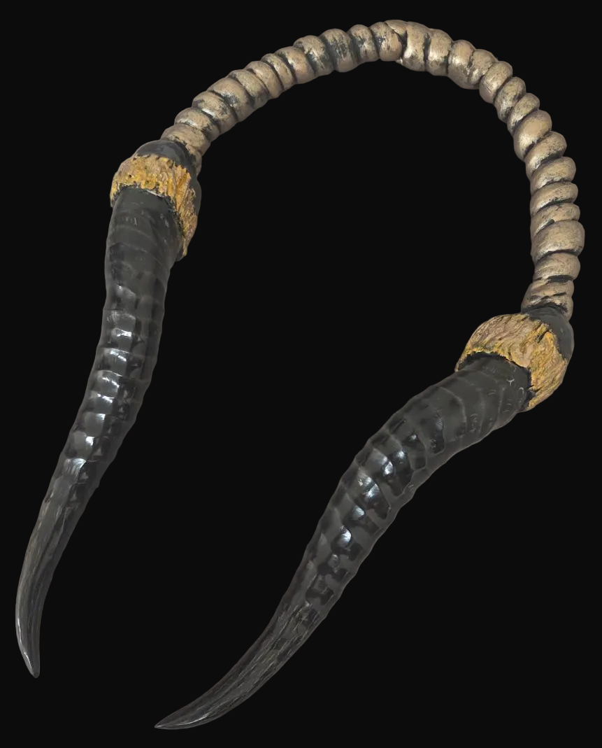 Polished Genuine Springbok Antler Sculpted Torc for Men or Women - Dramatic