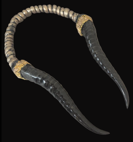 Polished Genuine Springbok Antler Sculpted Torc for Men or Women - Dramatic