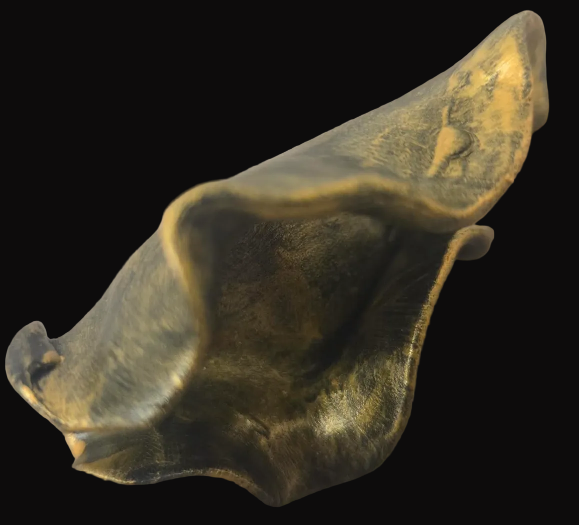 Hand Sculpted Faux Gold Metal Adjustable Avant Garde Statement Ring