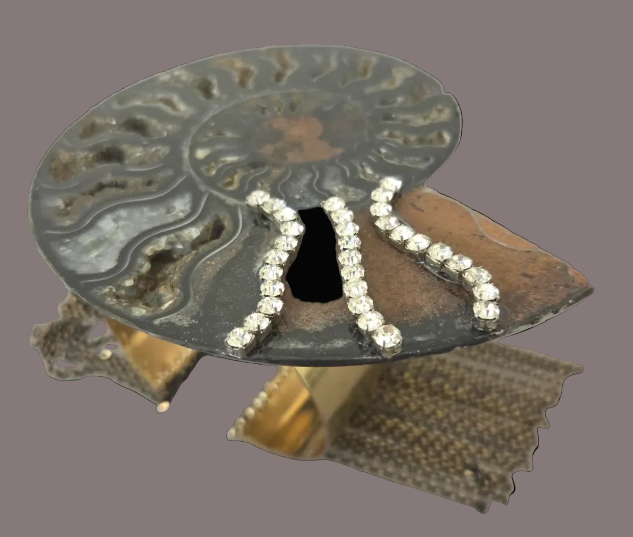 Rare Black Ammonite Statement Cuff and Ring Set for Women