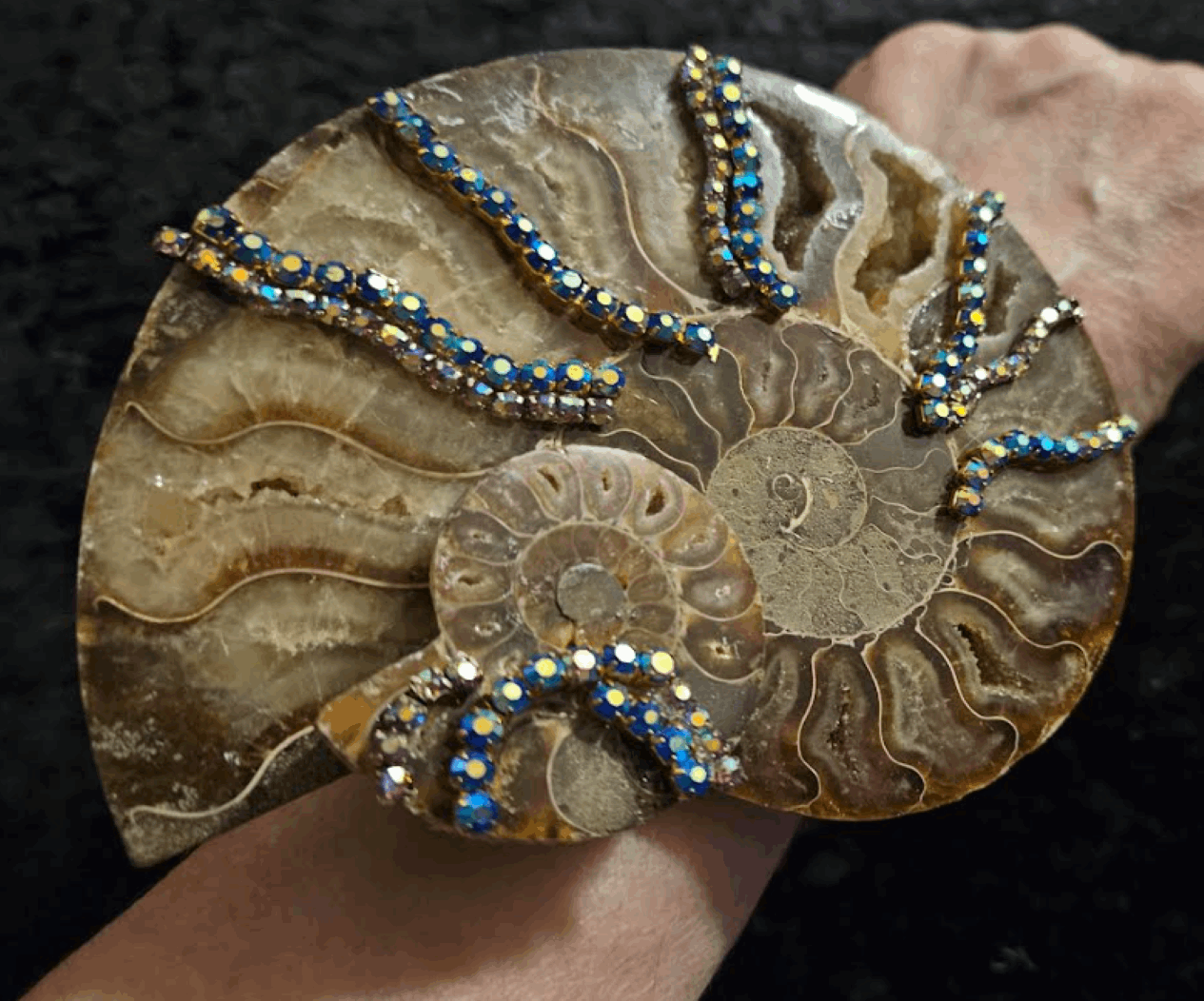 Ammonite Fossil Oversized Statement Cuff - Prehistoric Shell Unisex Ba ...