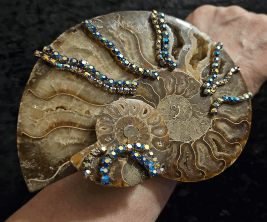 Ammonite Fossil Oversized Statement Cuff, Prehistoric Shell Unisex Bangle, Earthy Jewelry